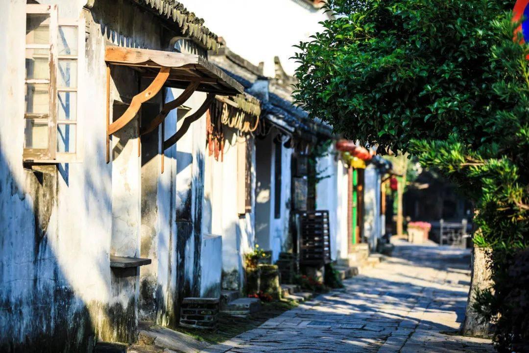 呆萌动物园